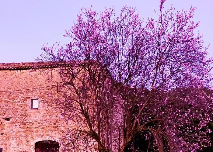 El Castell De Seguero