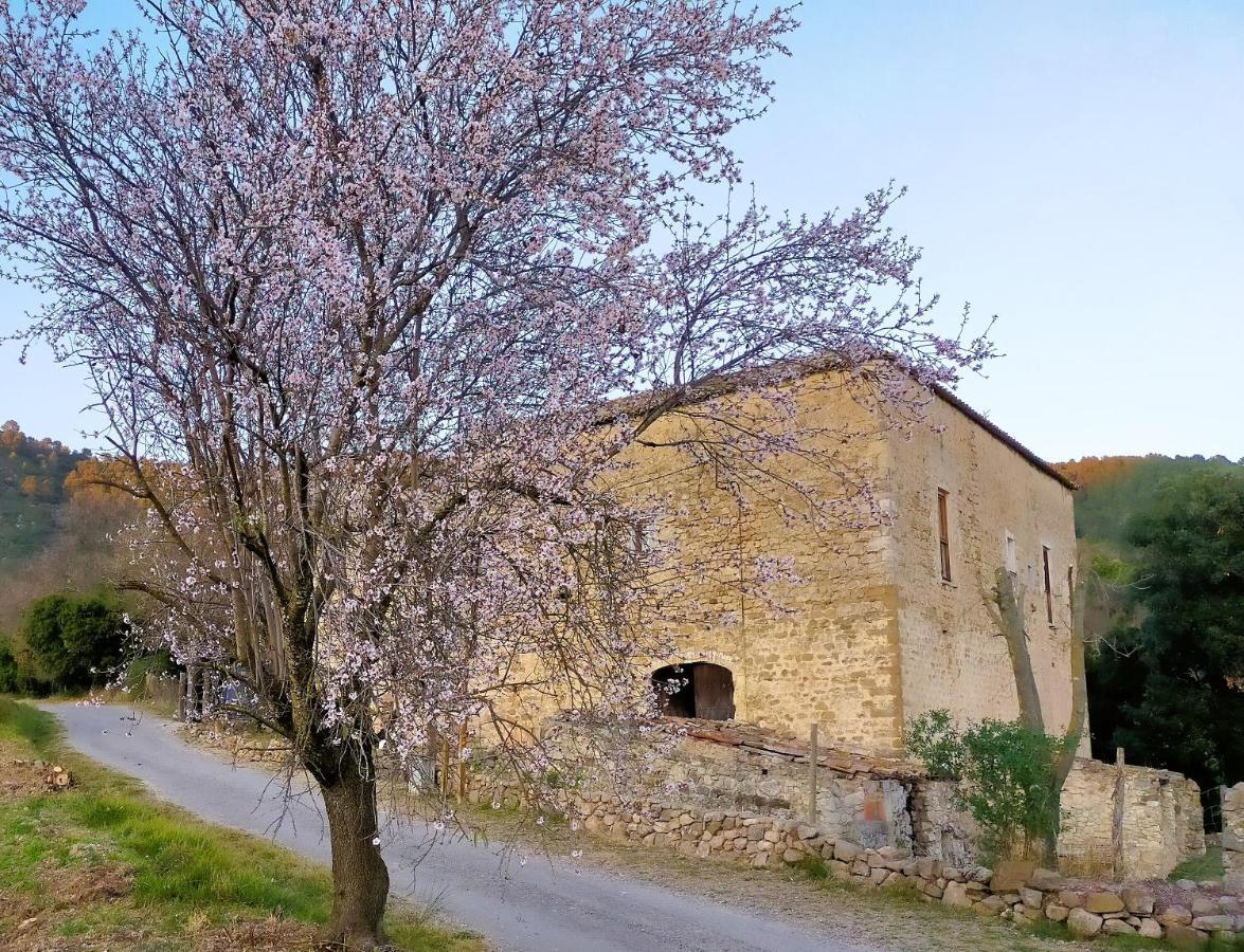 El Castell De Seguero Apartment *