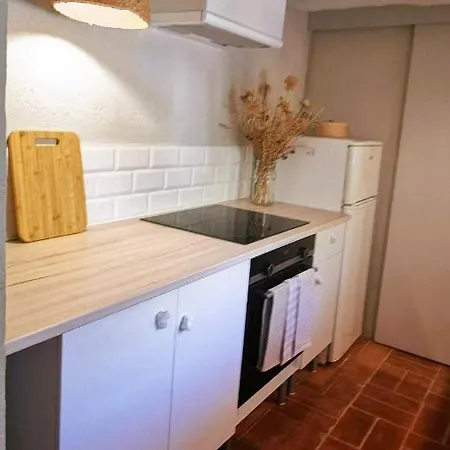 Appartement El Castell De Seguero à Beuda Extérieur photo