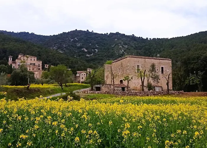 El Castell De Seguero